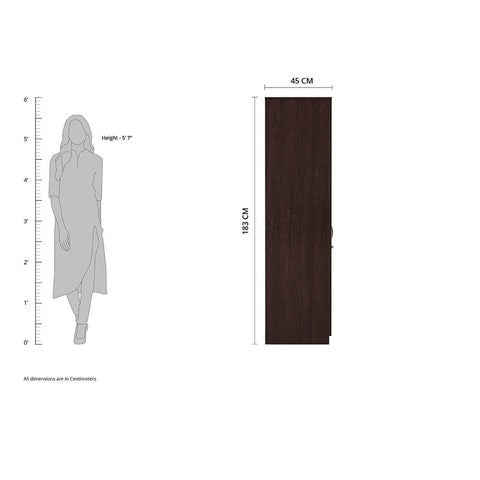 Rolx Medusa Engineered Wood Wardrobe Wenge Finish - Nice Maple
