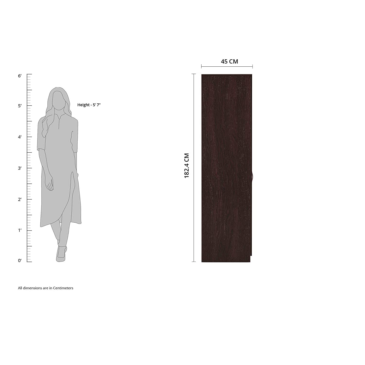 Silly Medusa Engineered Wood Wardrobe Wenge Finish - Nice Maple