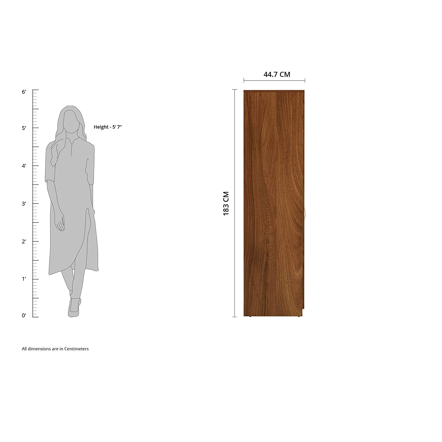 Solimo Medusa Engineered Wood Wardrobe Walnut Finish - Nice Maple