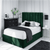 Maddox Upholstered Bed in Black/Green Colour - Nice Maple