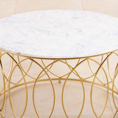 Macro Center Table in Gold Finish
